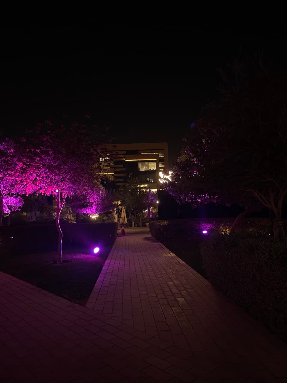 Enjoying Laysen Valley